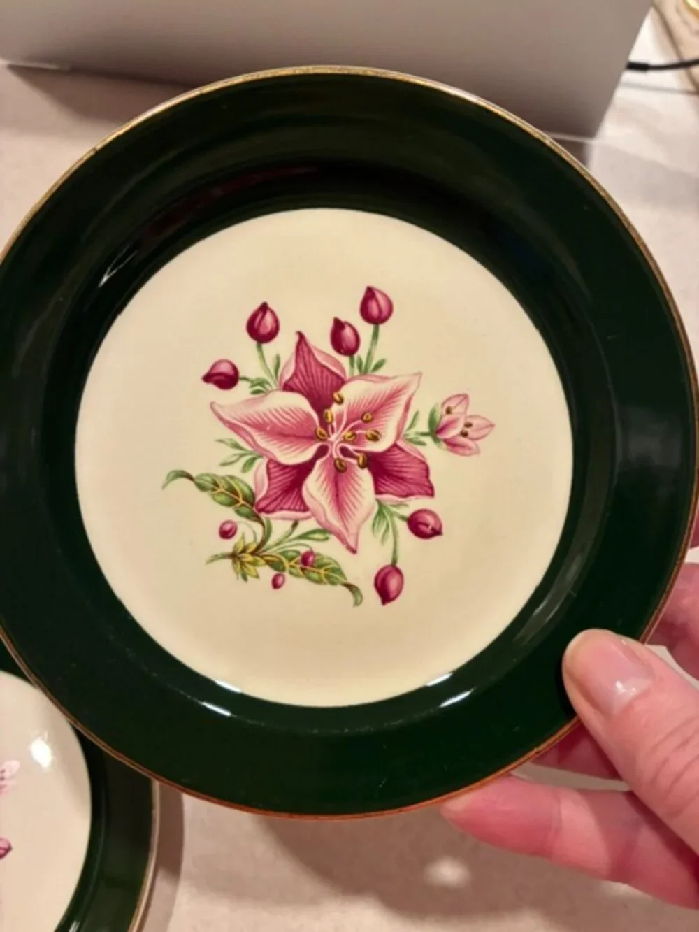Lot of 4 Taylor Smith Vtg Appalachian Heirloom #8532 Bread & Butter Plate